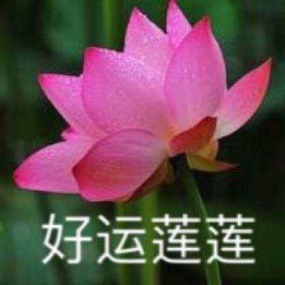 勇者喂饿龙手游(暂未上线)v1.0 安卓版